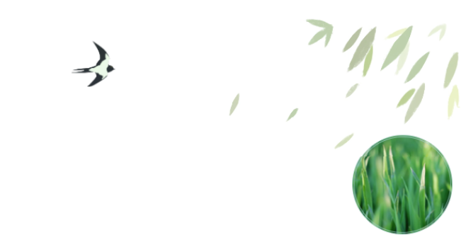 员工随笔丨抗“疫”过年，，，，，，各人都还好吗？？？？？