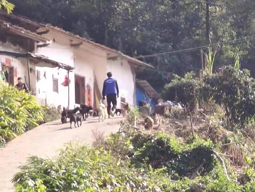 阳春房地一体项目纪实丨无悔青春多砥砺，，，，，，最是斗争感人心