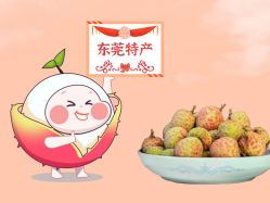 漫话千亿国际丨一颗有“故事”的荔枝！