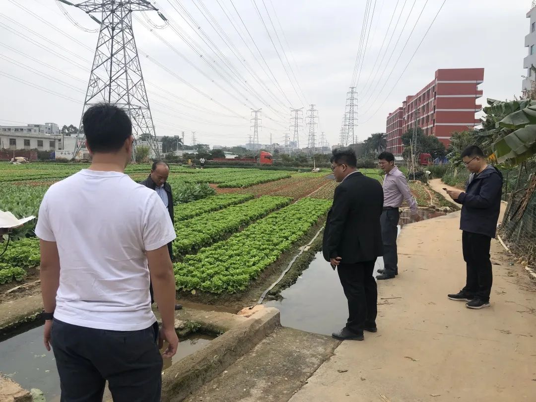 助力墟落振兴，，，，，千亿国际一直在起劲！