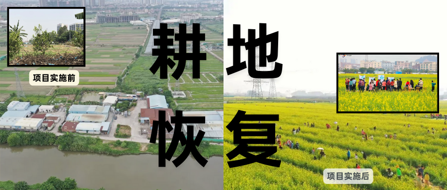 耕地；；；；；び刖蒙す踩凇甘泻窠终蛩谏缜读继锵钅扛鼗指从氤窍缛诤系牧⒁焓导