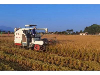 千亿国际评估与妄想公司荣获“耕地；；；；；；；び乓煳朗康ノ弧保